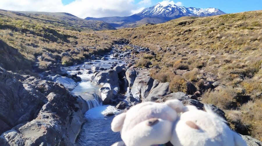 Mount Ruapehu as seen from trail off Skotel Alpine Resort