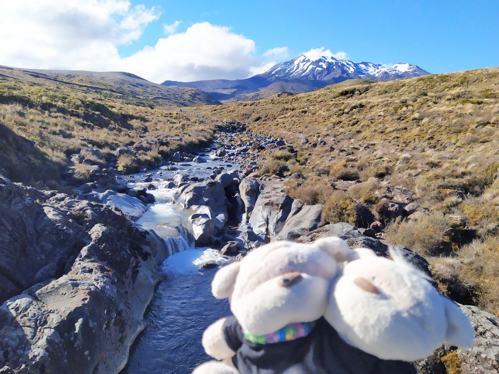 Mount Ruapehu as seen from trail off Skotel Alpine Resort