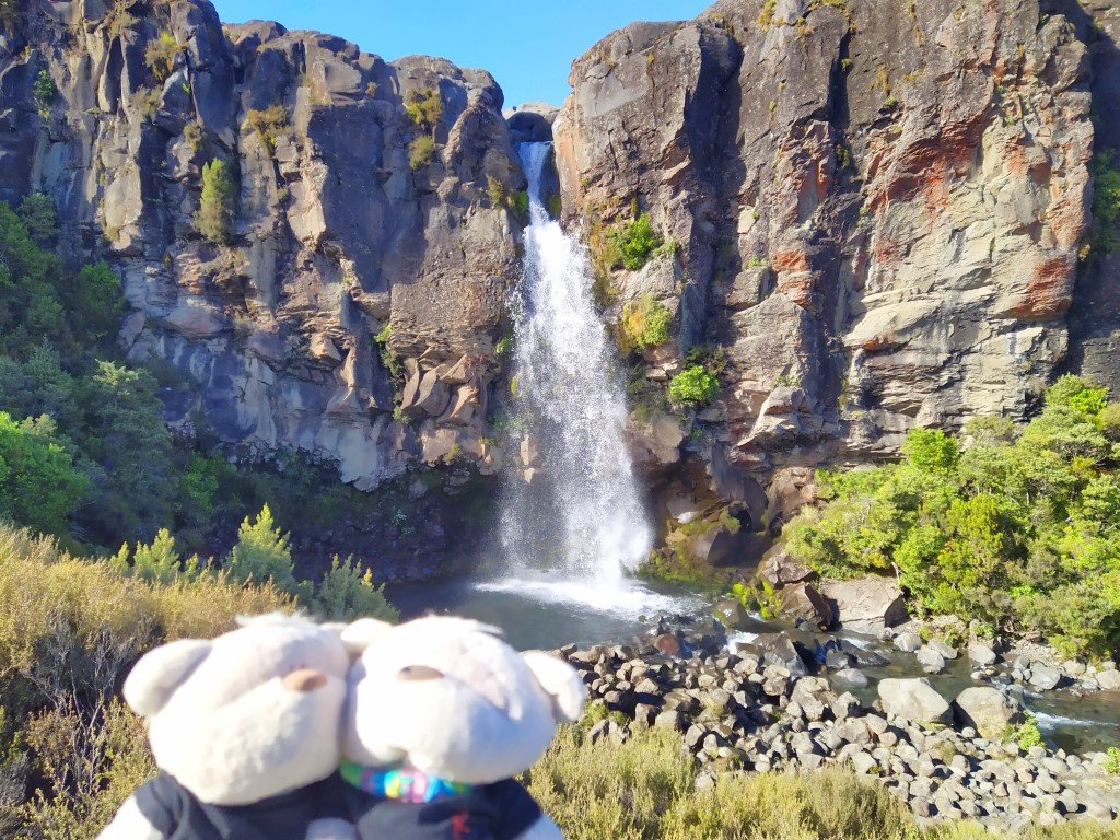 2bearbear at Taranaki Falls