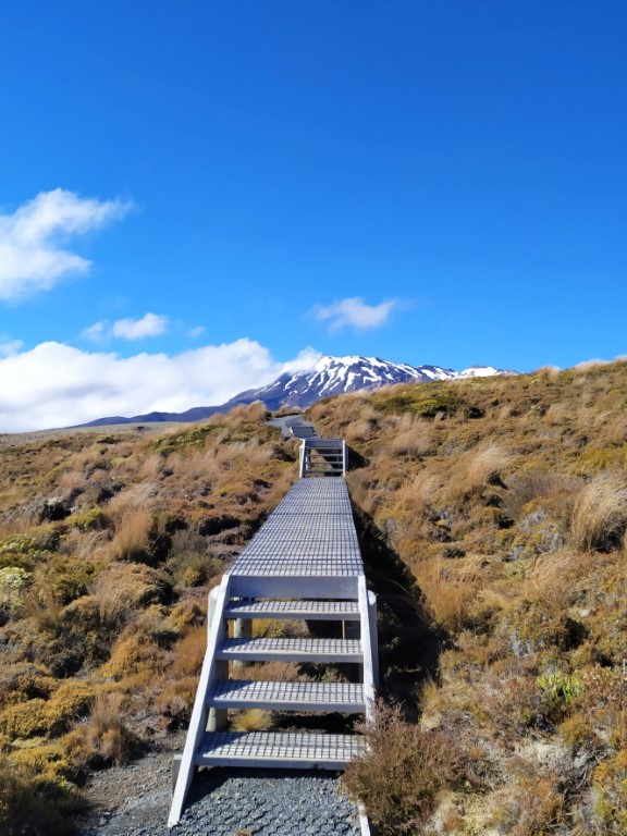 Constructed board walk with Mount Ruapehu in the background