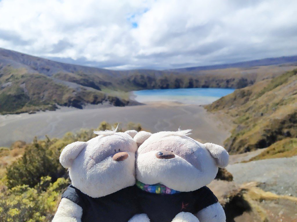 2bearbear at Lower Tama Lake Waikato New Zealand