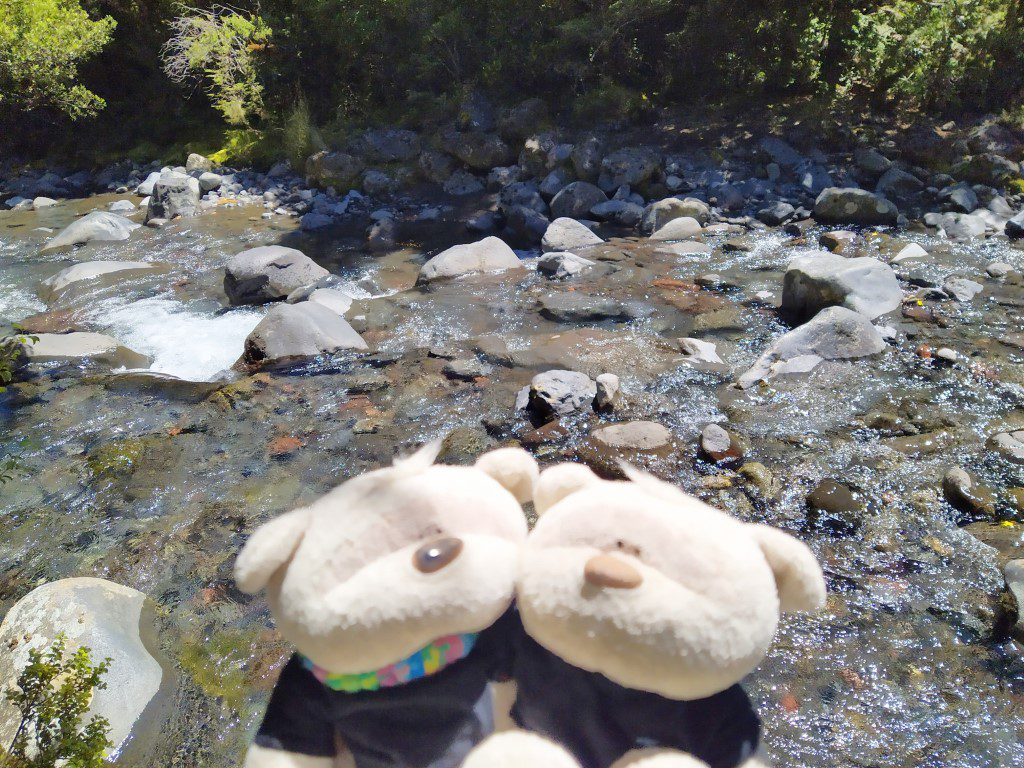 River enroute back from Taranaki Falls