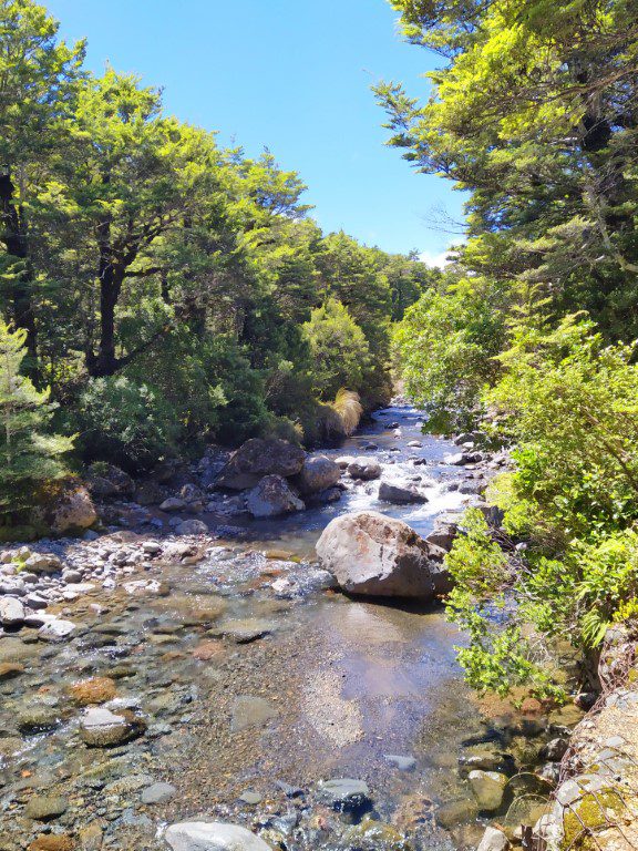 Another shot of river enroute from Taranaki Falls