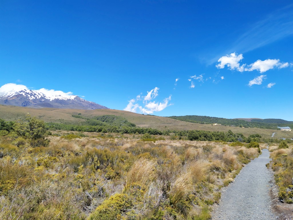 Finally reaching the wide open fields with Mount Ruapehu in the background - signaling that we're close to Skotel Alpine Resort