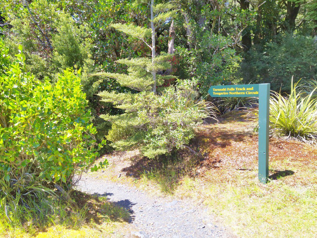 The scenic route that you would take if you're starting from Chateau Tongariro Hotel nearby