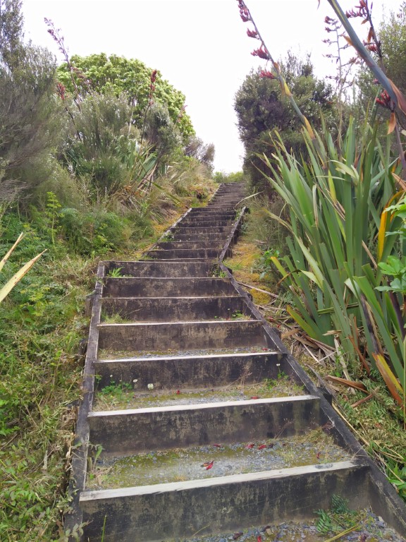 Short climb up a flight of stairs at Mounds Walk near Skotel Alpine Resort
