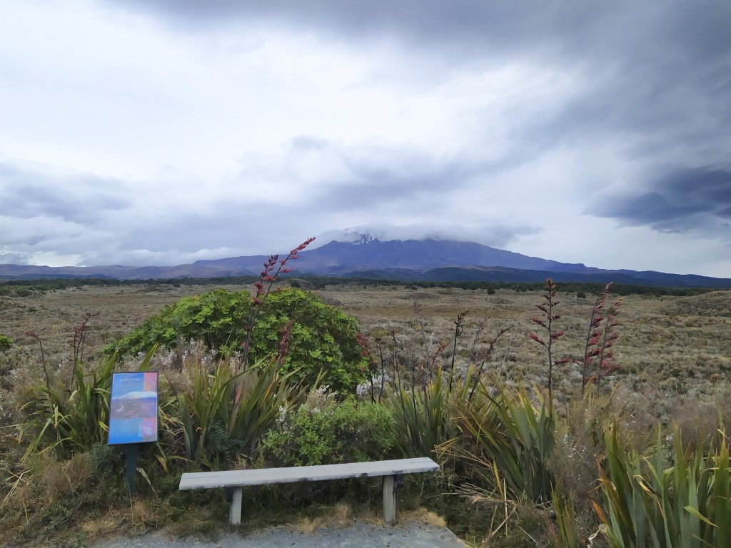 View of Mount Ruapehu from Mounds Walk near Skotel Alpine Resort