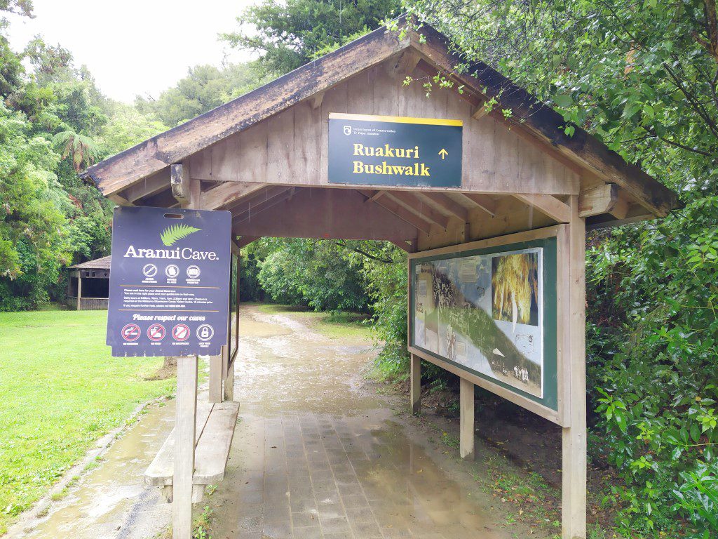 Ruakuri Bush Walk Review Waitomo Caves