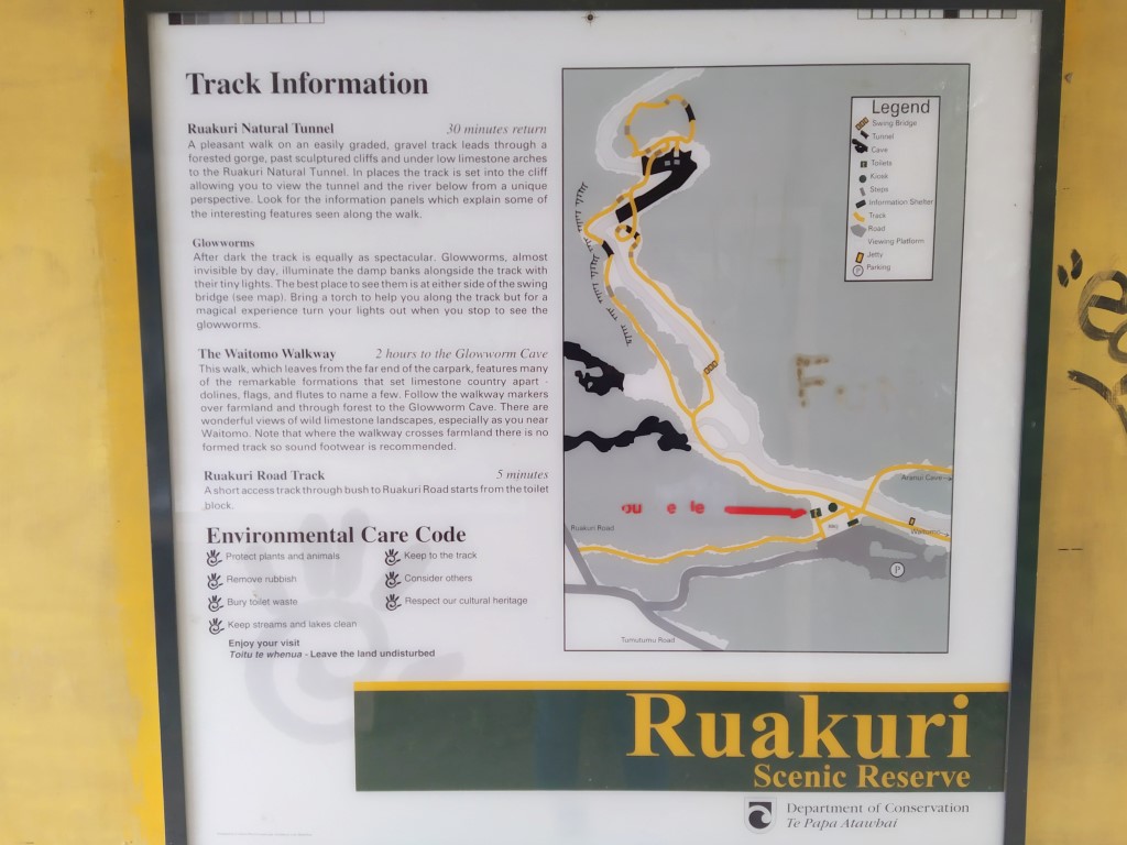 Ruakuri Bush Walk Waitomo Caves Information