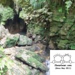 Layered rocks at Ruakuri Bush Walk Waitomo Caves
