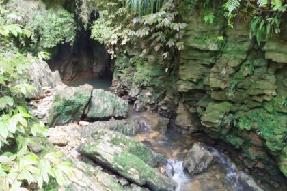 Layered rocks at Ruakuri Bush Walk Waitomo Caves