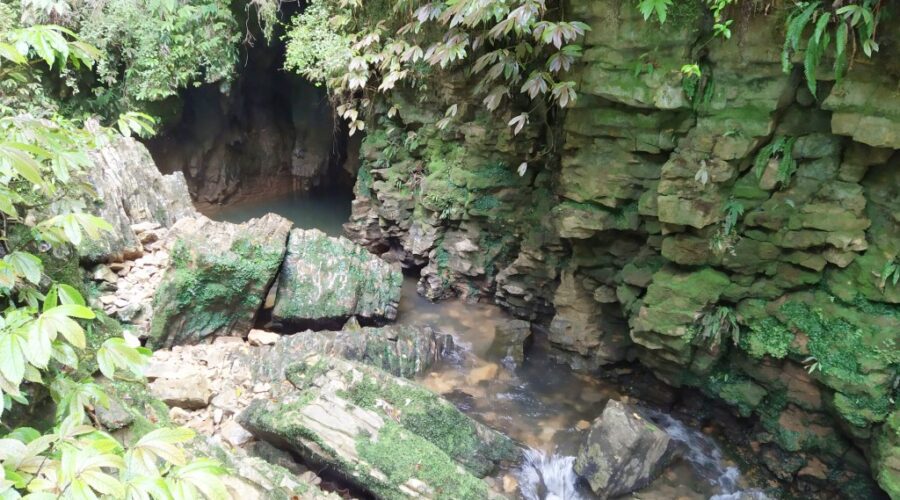 Layered rocks at Ruakuri Bush Walk Waitomo Caves