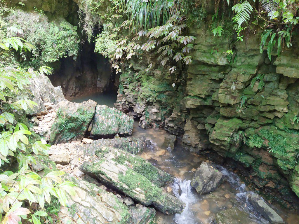 Layered rocks at Ruakuri Bush Walk Waitomo Caves