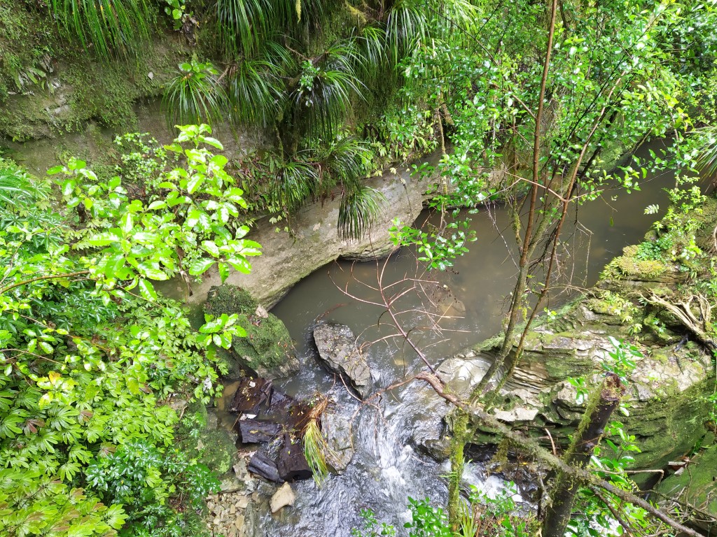 River along formations at Ruakuri Bush Walk