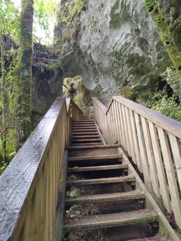 Well-constructed bridges at Ruakuri Bush Walk Waitomo Caves Review