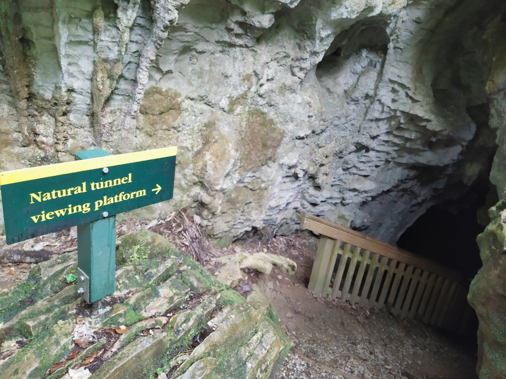 Sign pointing to natural tunnel viewing platform at Ruakuri Bush Walk Review