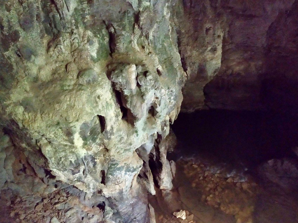 Inside Natural Tunnel Viewing Platform Ruakuri Bush Walk