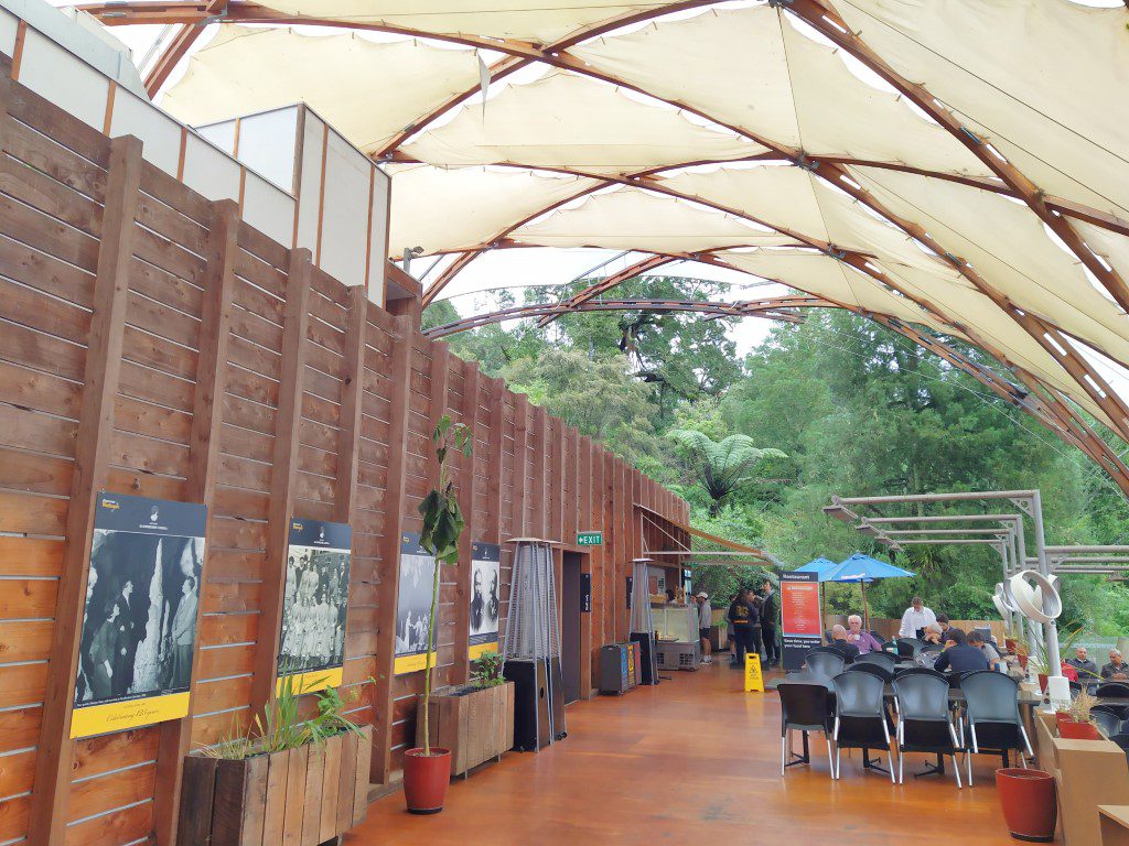 Waitomo Glowworm Caves Cafe and Restaurant