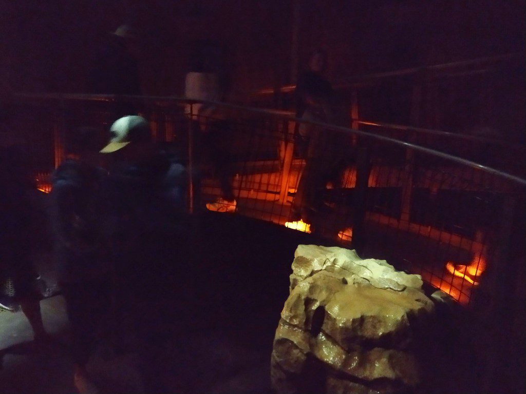 Rock with actual drop of water at the end of the descent to Waitomo Glowworm Caves