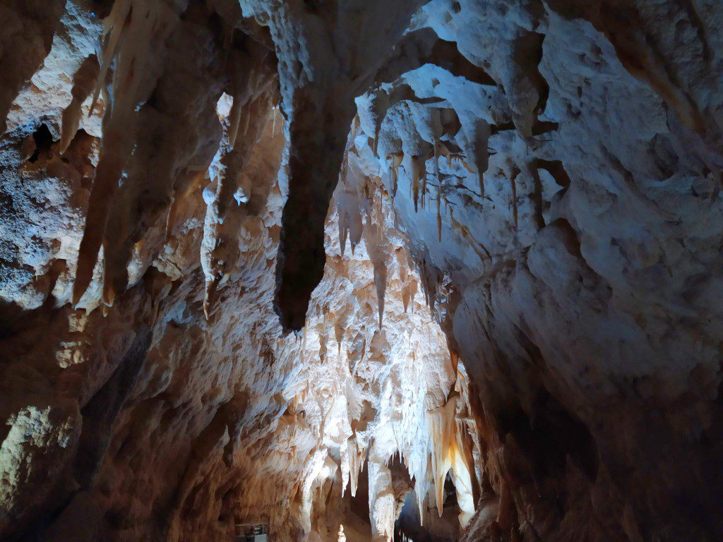 Stalactites that grow from the ceiling of Ruakuri Cave at Waitomo Glowworm Caves