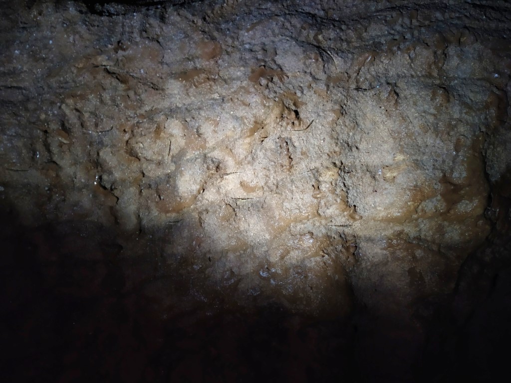 Interesting limestone formations inside Ruakuri Cave at Waitomo Glowworm Caves New Zealand
