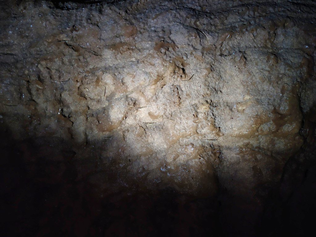 Interesting limestone formations inside Ruakuri Cave at Waitomo Glowworm Caves New Zealand