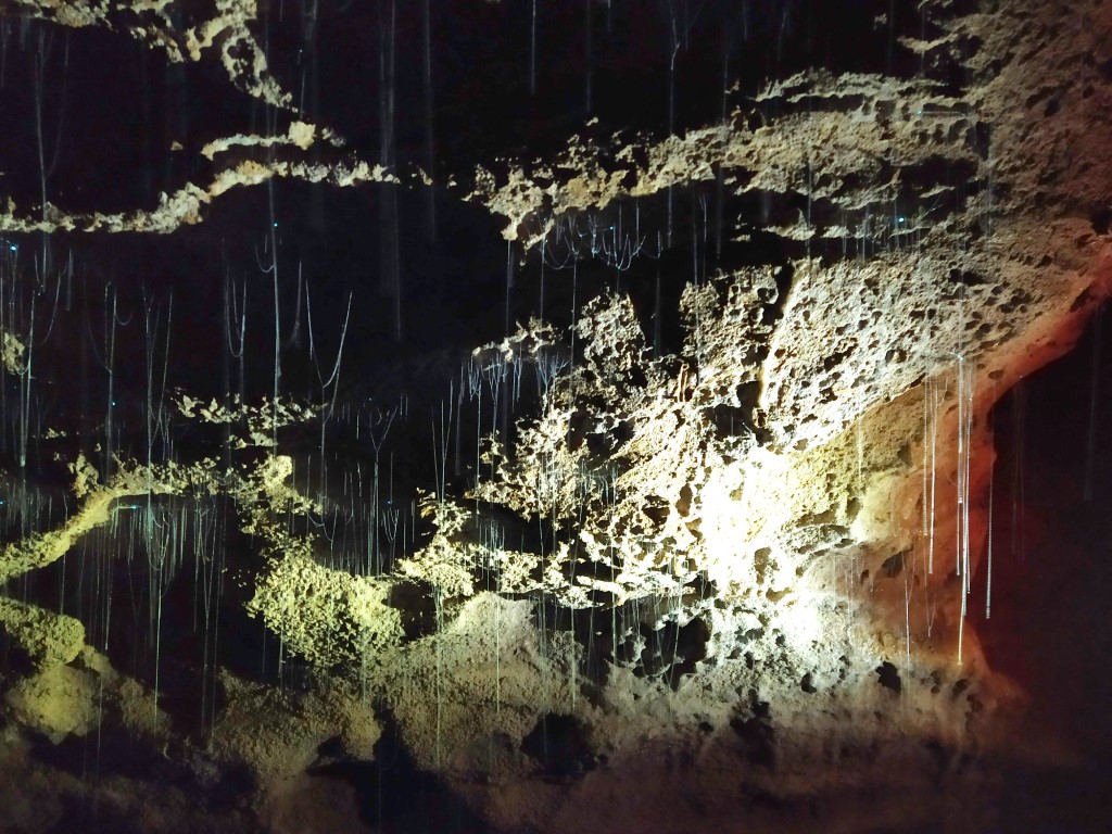 Threads hanging from ceiling of Waitomo Glowworm Caves NZ