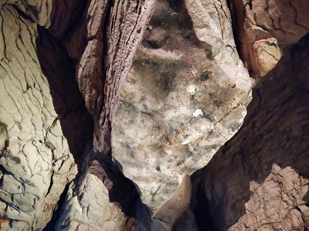 Calcite Carbonate formations inside Waitomo Caves New Zealand