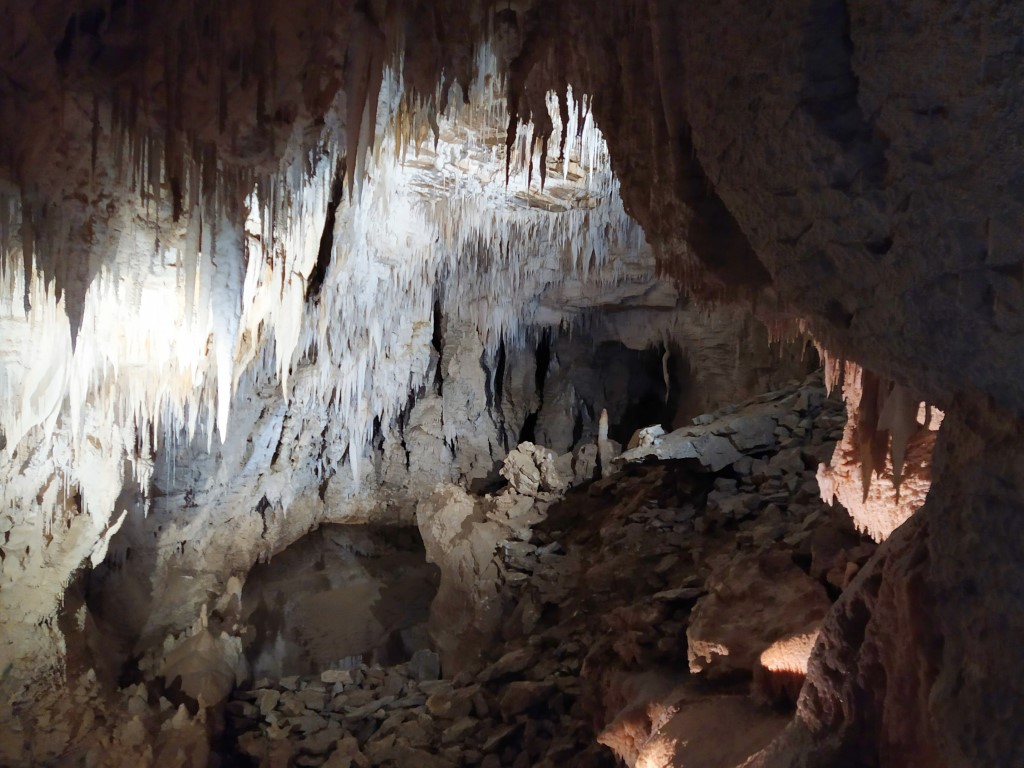 More Stalactites within Waitomo Glowworm Caves