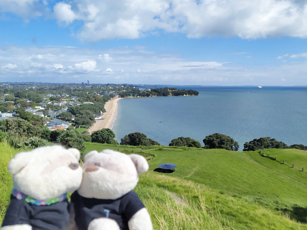 2bearbear at North Head Historic Reserve / Maungauika