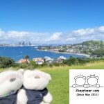 2bearbear at North Head Historic Reserve / Maungauika with Auckland in the background