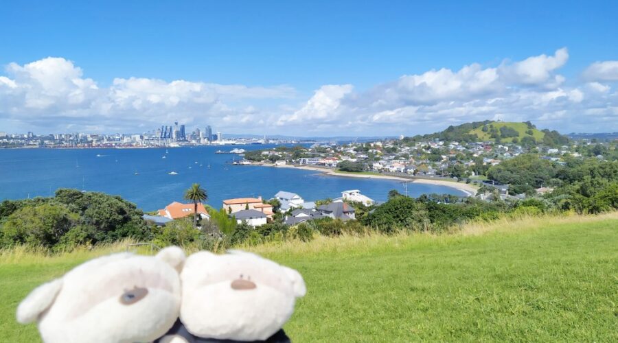 2bearbear at North Head Historic Reserve / Maungauika with Auckland in the background