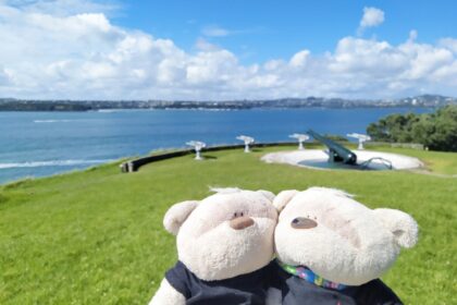 2bearbear with Disappearing Gun at South Battery of North Head Historic Reserve / Maungauika
