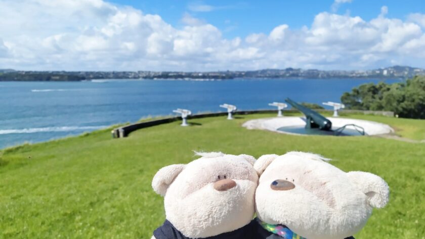 2bearbear with Disappearing Gun at South Battery of North Head Historic Reserve / Maungauika