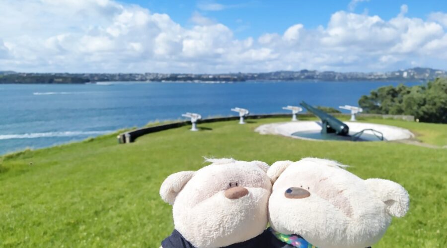 2bearbear with Disappearing Gun at South Battery of North Head Historic Reserve / Maungauika