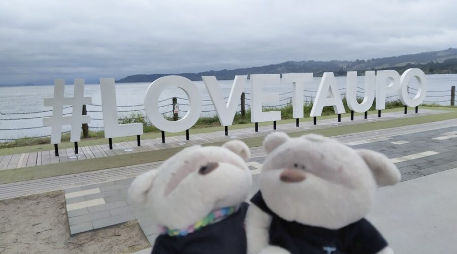Love Taupo sign in Taupo New Zealand