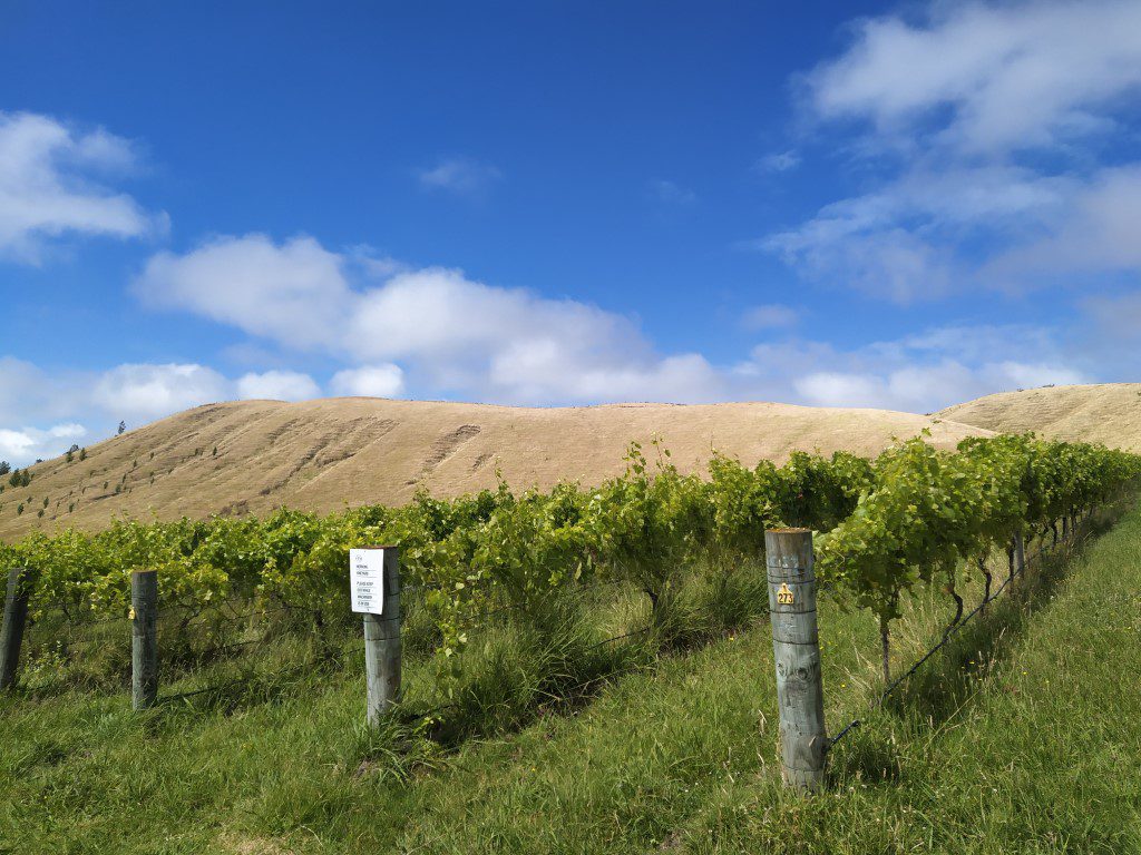 Beautiful scenery enroute from Taupo to Wellington