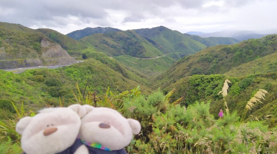 2bearbear at Remutaka Crossing New Zealand