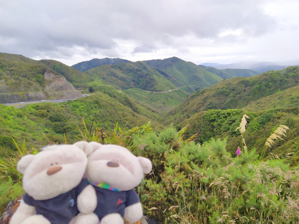 2bearbear at Remutaka Crossing New Zealand