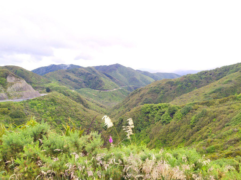 Remutaka Crossing New Zealand