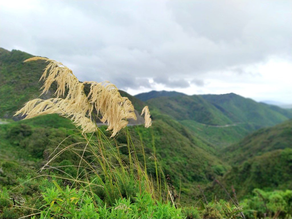 Rimutaka Crossing New Zealand 