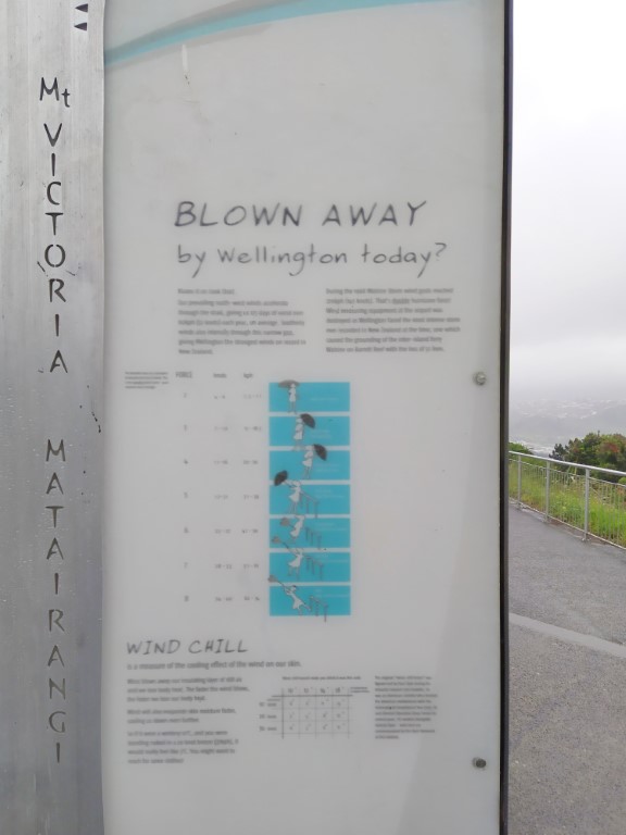 Blown Away - Information atop Mount Victoria Wellington New Zealand