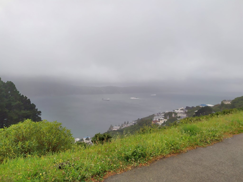 Cloudy day at Mount Victoria Wellington New Zealand
