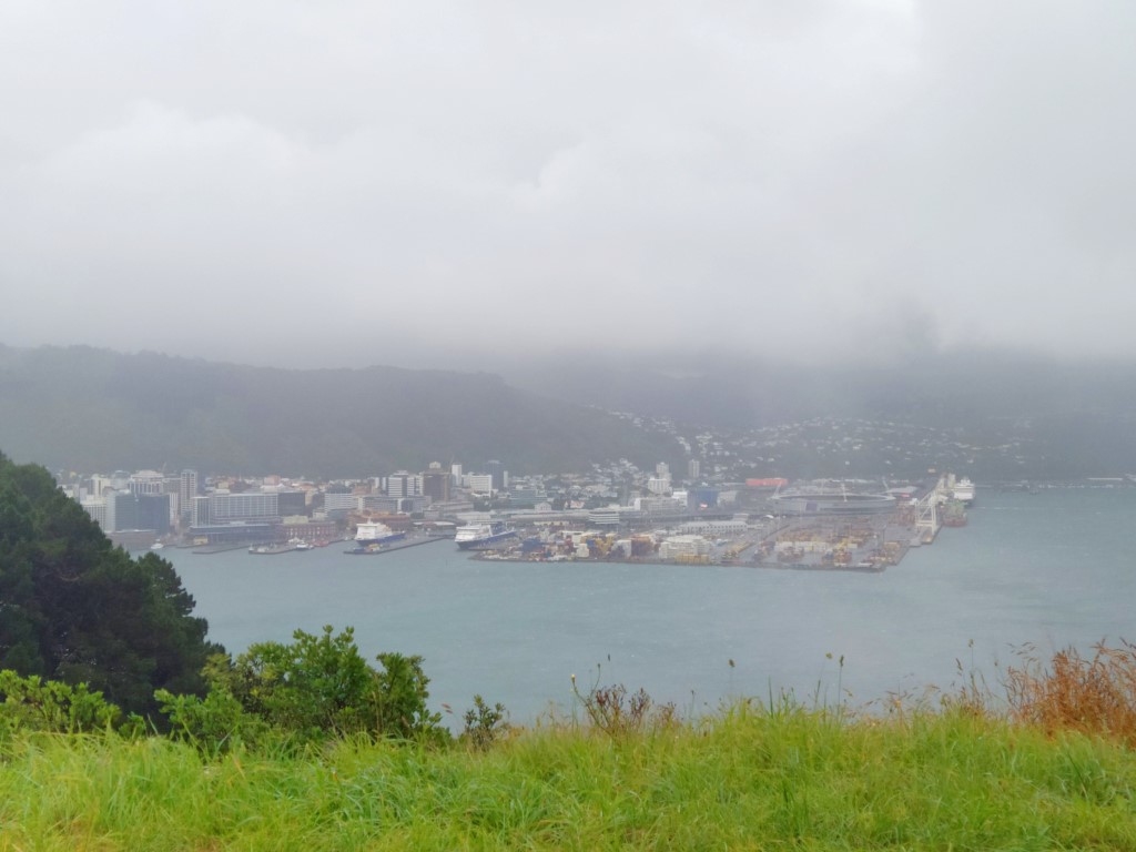 Another view of Wellington Harbour from Mount Victoria Wellington New Zealand