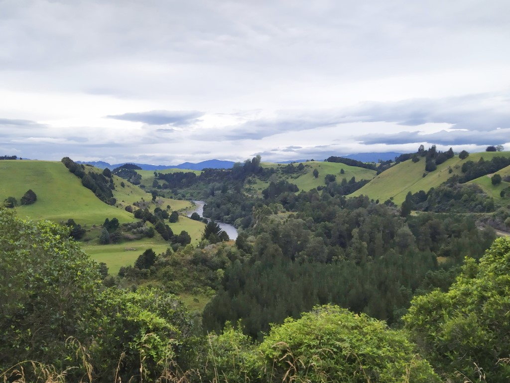 Piriaka Lookout enroute to Taumarunui New Zealand