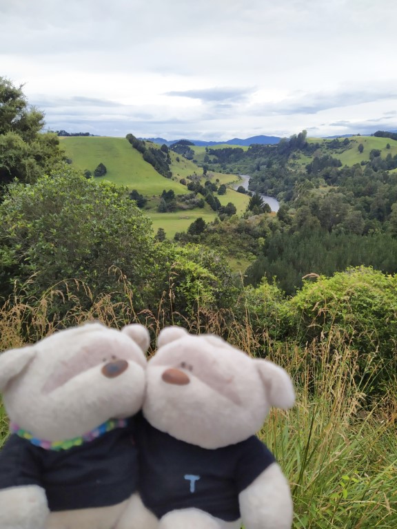 2bearbear @ Piriaka Lookout enroute to Taumarunui New Zealand