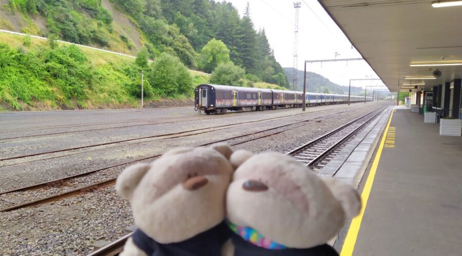 2bearbear at Taumarunui Railway Station