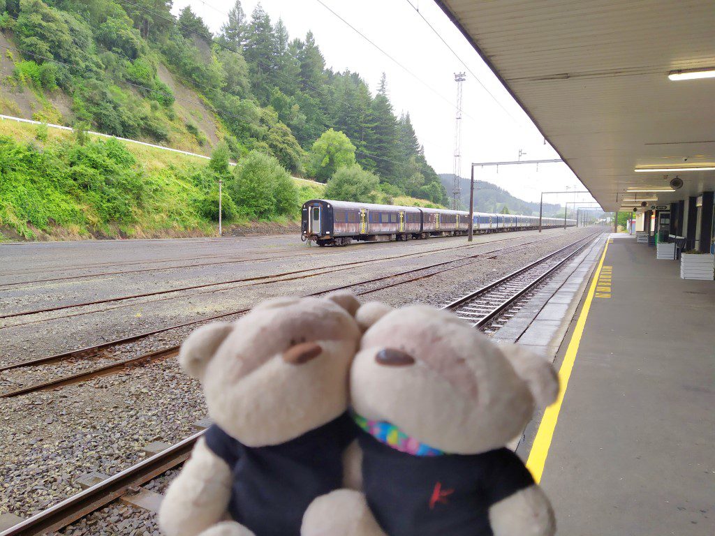 2bearbear at Taumarunui Railway Station