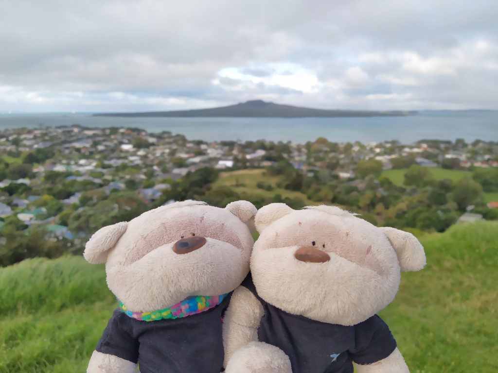 2bearbear at Mount Victoria Takarunga Devonport