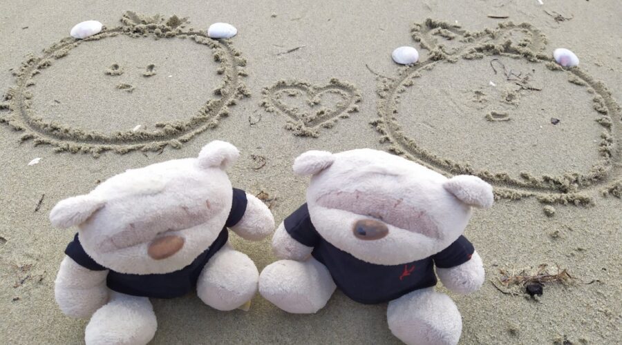 2bearbear at Snells Beach Auckland New Zealand